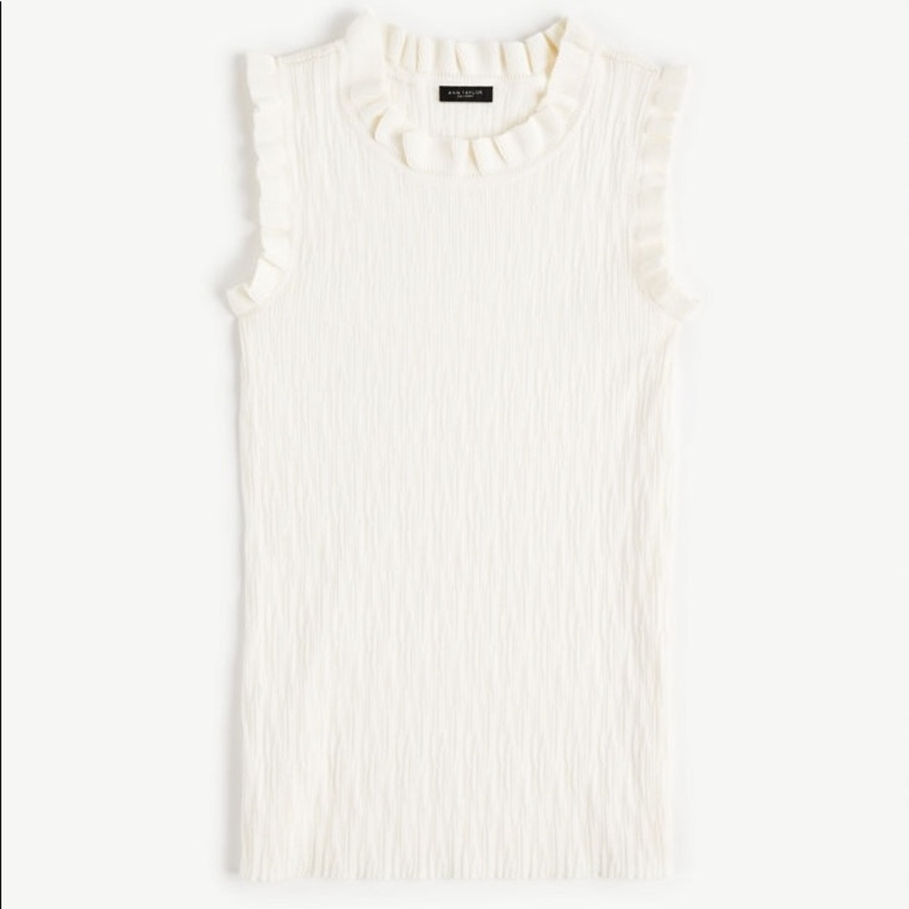 NWT Ann Taylor Ruffle Sweater Shirt